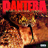 Pantera